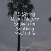 25 Spring Rain & Nature Sounds for Soothing Meditation