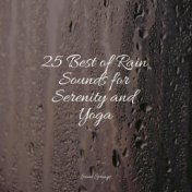 25 Best of Rain Sounds for Serenity and Yoga