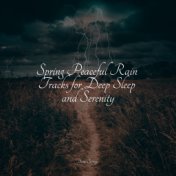 Spring Peaceful Rain Tracks for Deep Sleep and Serenity