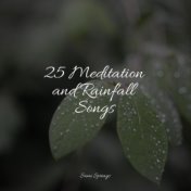 25 Meditation and Rainfall Songs