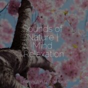 Sounds of Nature | Mind Relaxation