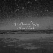 25 Musical Spring Rain Tracks