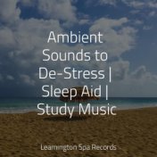 Ambient Sounds to De-Stress | Sleep Aid | Study Music