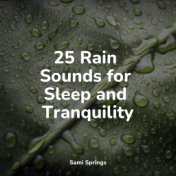 25 Rain Sounds for Sleep and Tranquility