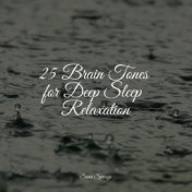 25 Brain Tones for Deep Sleep Relaxation