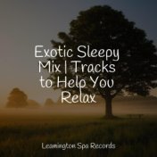 Exotic Sleepy Mix | Tracks to Help You Relax