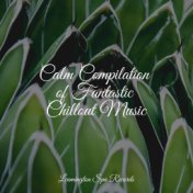 Calm Compilation of Fantastic Chillout Music