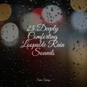 25 Deeply Comforting Loopable Rain Sounds