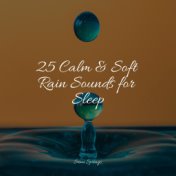 25 Calm & Soft Rain Sounds for Sleep