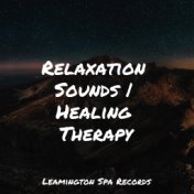 Relaxation Sounds | Healing Therapy