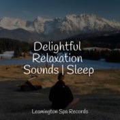 Delightful Relaxation Sounds | Sleep