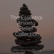 The Essential Anxiety Relief Collection