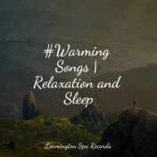 #Warming Songs | Relaxation and Sleep