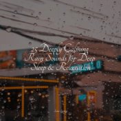 25 Deeply Calming Rain Sounds for Deep Sleep & Relaxation