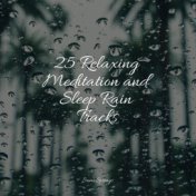 25 Relaxing Meditation and Sleep Rain Tracks