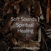 Soft Sounds | Spiritual Healing