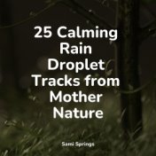 25 Calming Rain Droplet Tracks from Mother Nature