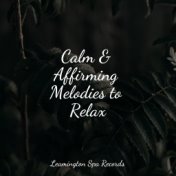 Calm & Affirming Melodies to Relax