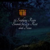 25 Soothing Rain Sounds for a to Rest and Focus