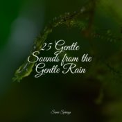 25 Gentle Sounds from the Gentle Rain