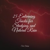 25 Enlivening Tracks for Studying and Natural Rain