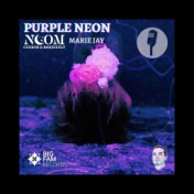 Purple Neon (Radio Edit)