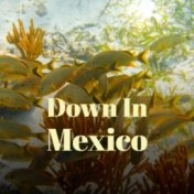 Down In Mexico