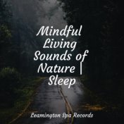 Mindful Living Sounds of Nature | Sleep