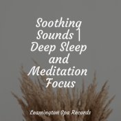 Soothing Sounds | Deep Sleep and Meditation Focus