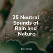 25 Neutral Sounds of Rain and Nature