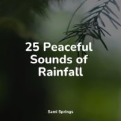 25 Peaceful Sounds of Rainfall