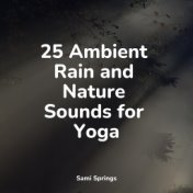 25 Ambient Rain and Nature Sounds for Yoga