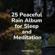 25 Peaceful Rain Album for Sleep and Meditation