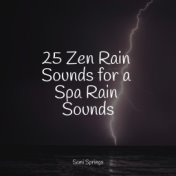 25 Zen Rain Sounds for a Spa Rain Sounds