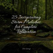 25 Invigorating Storm Melodies for Complete Relaxation