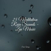 25 Meditation Rain Sounds - Zen Music