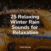 25 Relaxing Winter Rain Sounds for Relaxation