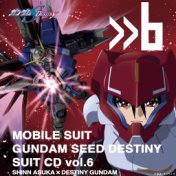 Mobile Suit Gundam Seed Destiny Suit Vol.6 Shinn Asuka × Destiny Gundam