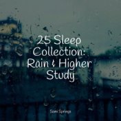 25 Sleep Collection: Rain & Higher Study