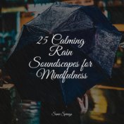 25 Calming Rain Soundscapes for Mindfulness