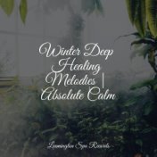 Winter Deep Healing Melodies | Absolute Calm