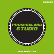 Promiseland Studio