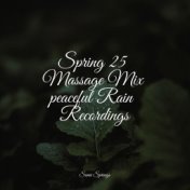 Spring 25 Massage Mix peaceful Rain Recordings