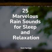 25 Marvelous Rain Sounds for Sleep and Relaxation