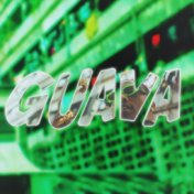 Guava