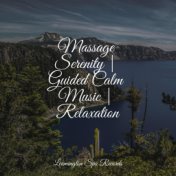 Massage Serenity | Guided Calm Music | Relaxation