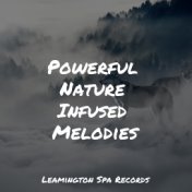 Powerful Nature Infused Melodies