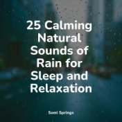 25 Calming Natural Sounds of Rain for Sleep and Relaxation