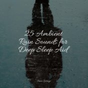 25 Ambient Rain Sounds for Deep Sleep Aid