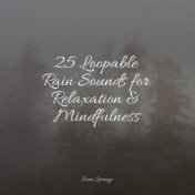 25 Loopable Rain Sounds for Relaxation & Mindfulness